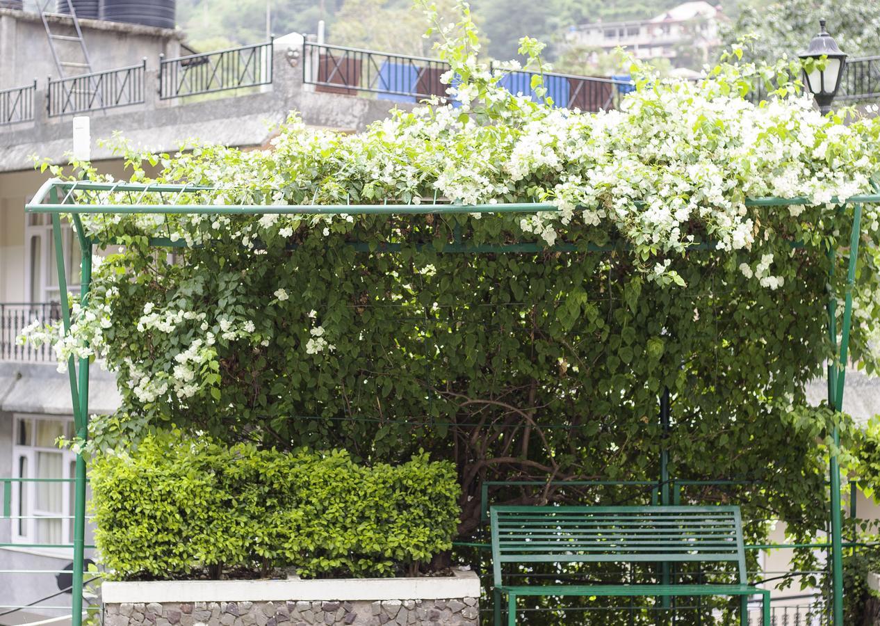 Savoy Greens Kasauli Exterior foto